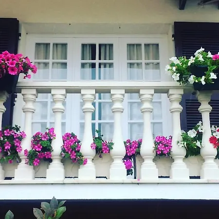 Patio Das Flores Guest house